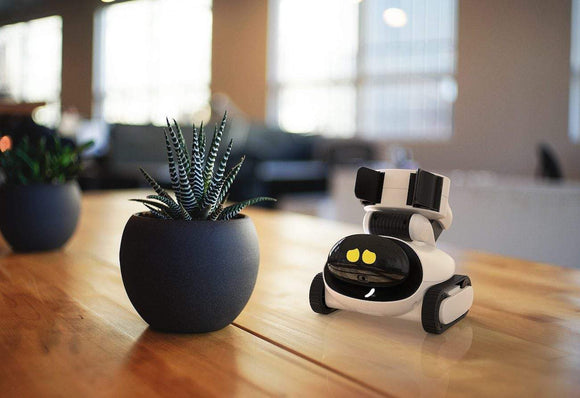 Friendly Robot